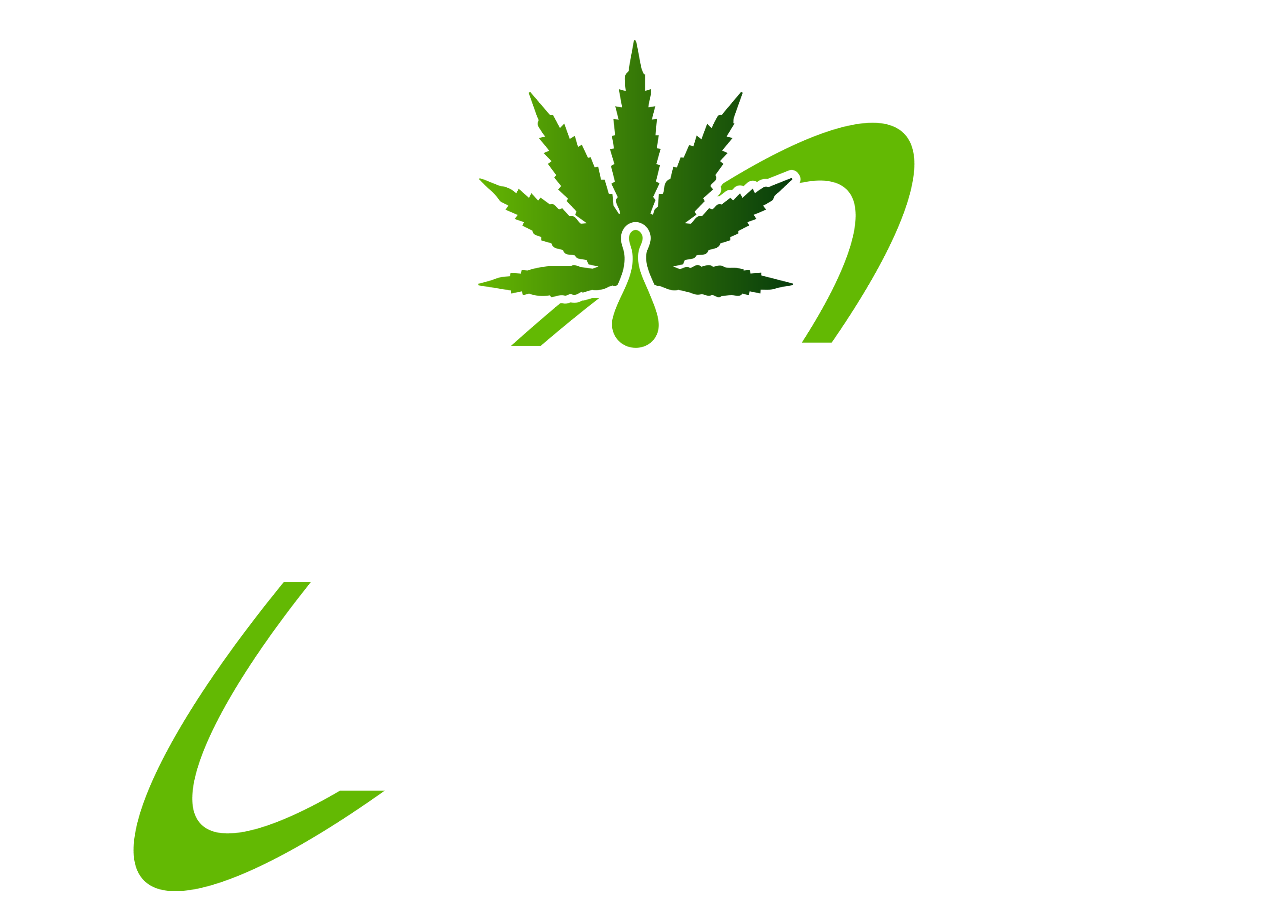 crayonphysicsdeluxe2